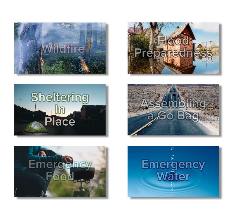 Customized preparedness education modules